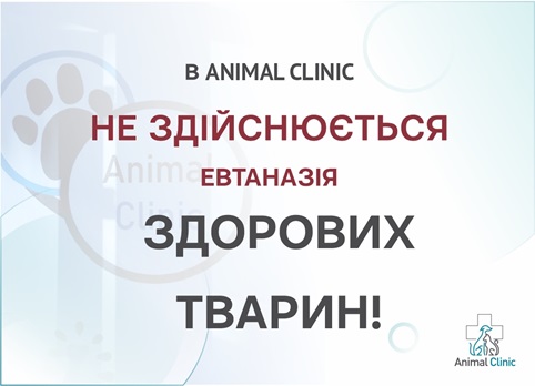 В Animal Clinic не здійснюється евтаназія здорових тварин