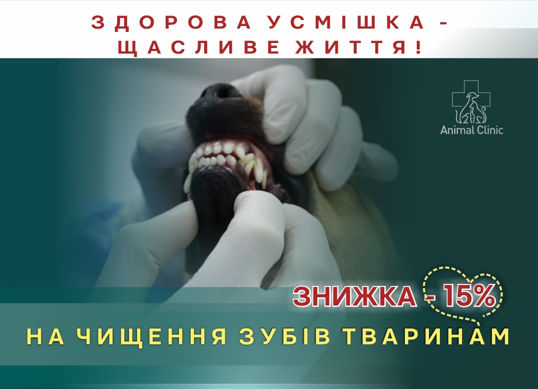 СКИДКА -15% НА ЧИСТКУ ЗУБОВ ЖИВОТНЫМ