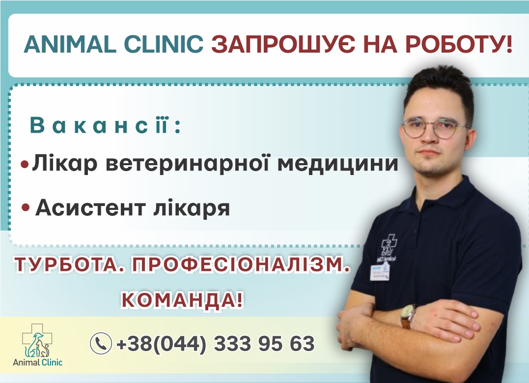 Animal Clinic шукає лікарів і асистентів