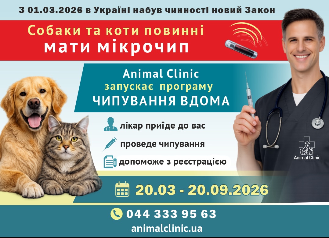 Чипування тварин в Україні 2026: що потрібно знати власникам