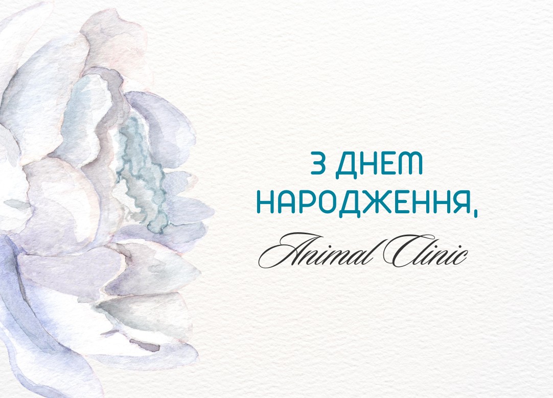 20.04.2018 — день, когда Animal Clinic открыла свои двери для пушистых пациентов 🐾