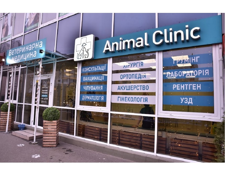 Как выбрать ветеринарную клинику?