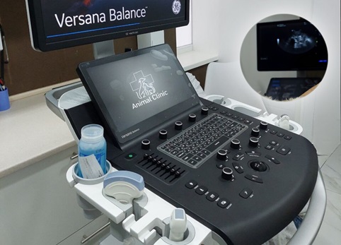 В Animal Clinic — новий апарат для проведення УЗД — General Electric Ultrasound  — Versana Balance